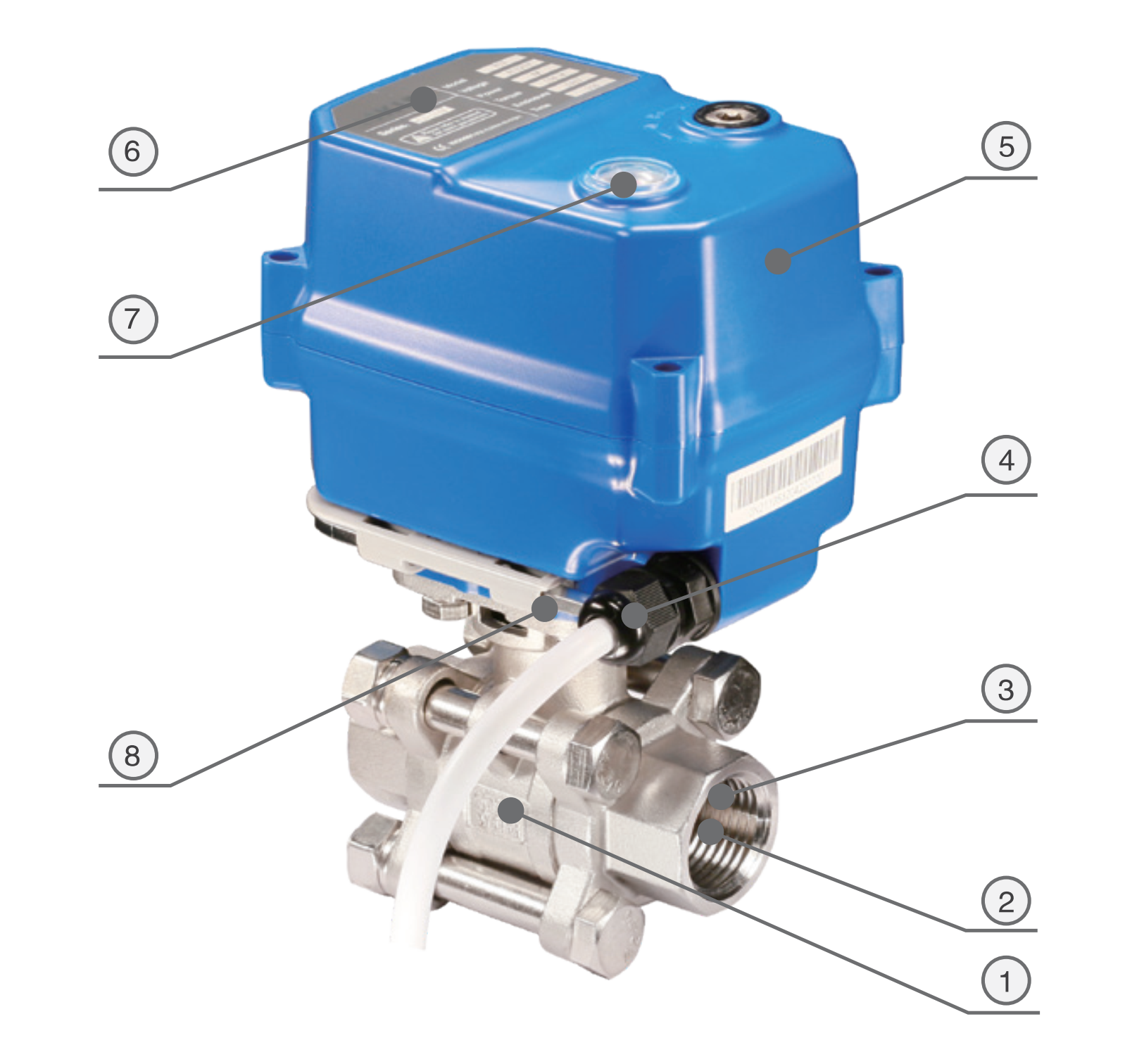 1 ~!phoenix_varIMG50!~